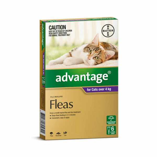 Advantage Purple Spot-On for Medium & Large Cats - 6 Pack