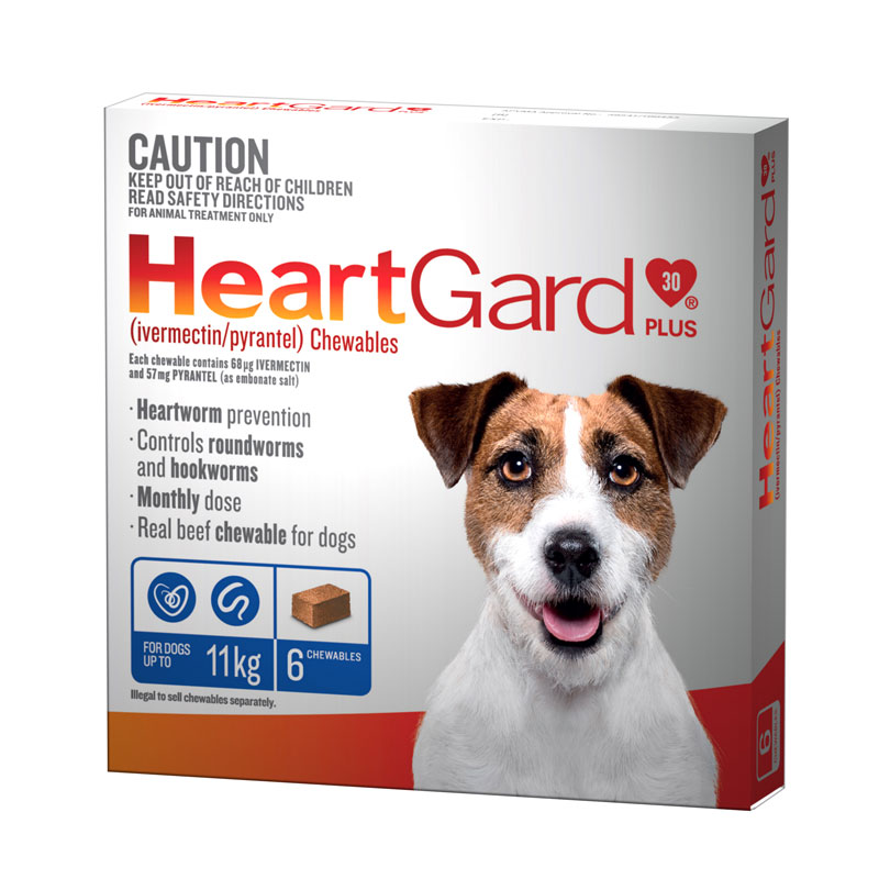 Buy HeartGard Plus Blue Chews For Small Dogs 6 Pack