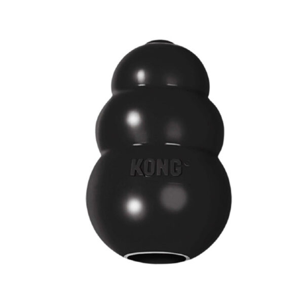 KONG T B2