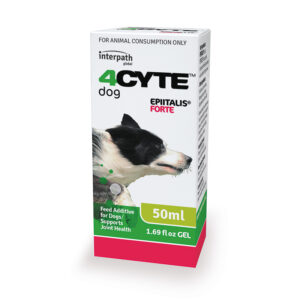 4Cyte Epiitalis Forte Gel for Dogs 50ml