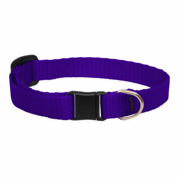 Lupine Purple Safety Cat Collar