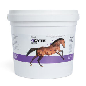 4Cyte Horse Joint Supplement Granules 3.5kg Pail